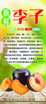 李子