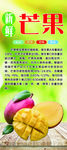 芒果