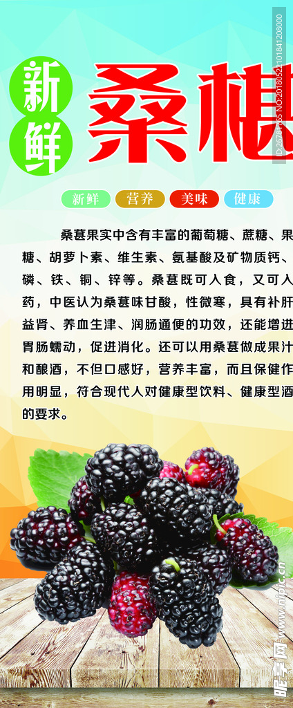 桑葚
