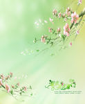 花边花纹