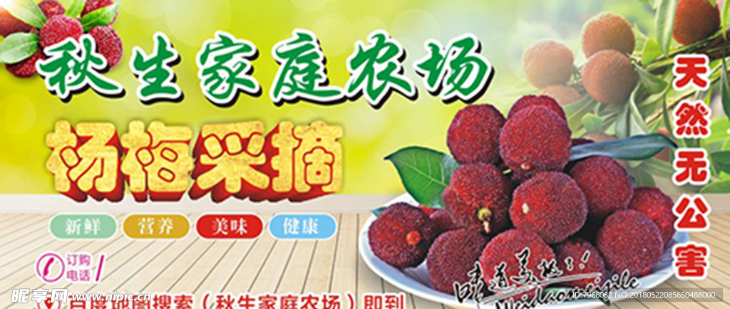 杨梅宣传不干胶