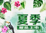 夏季新品上市