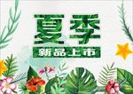 夏季新品上市
