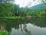 玉渡山风景