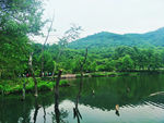 玉渡山风景