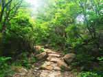 玉渡山风景