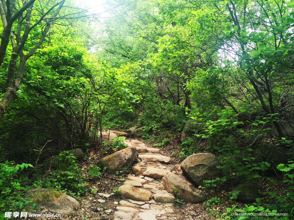 玉渡山风景