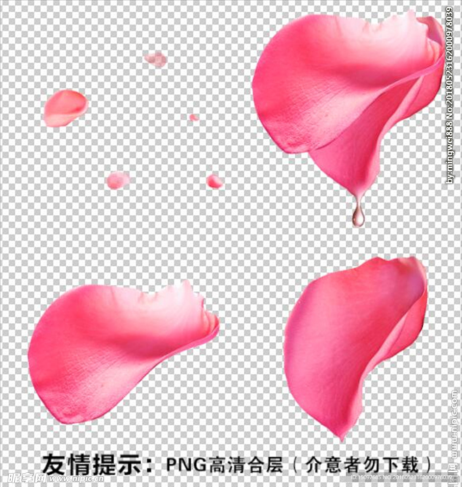 花瓣