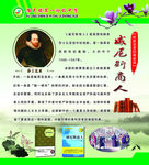 名著——威尼斯商人