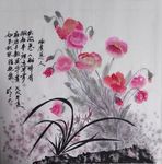 虞美人