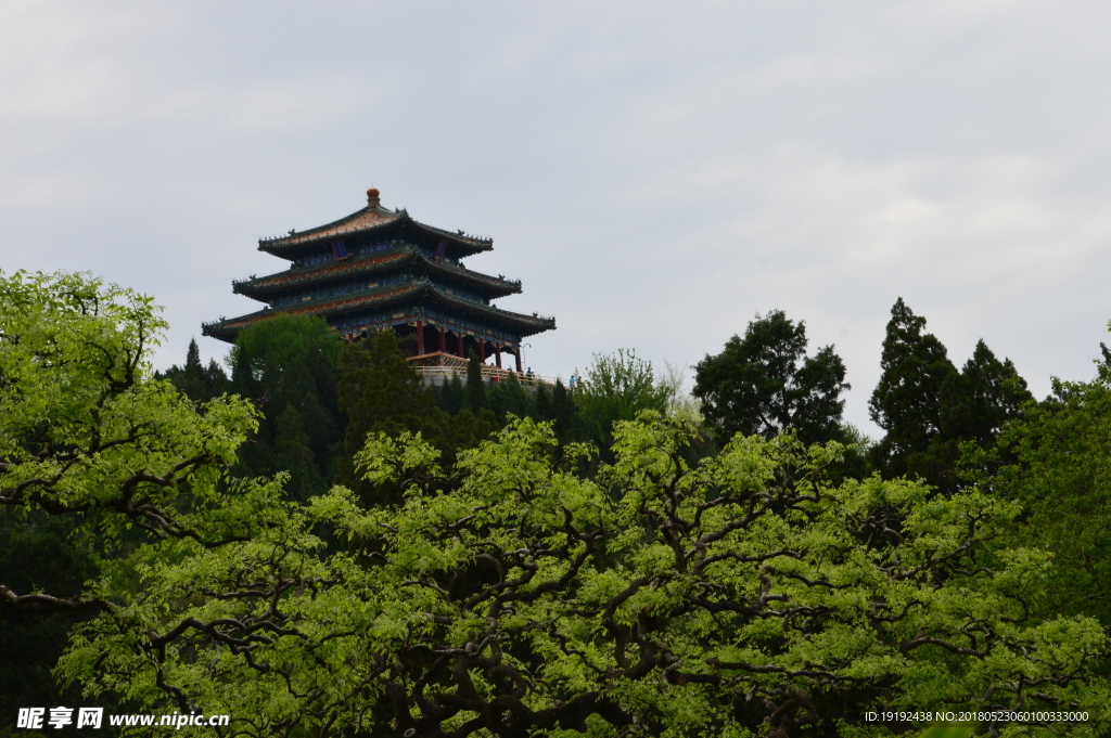 景山风景