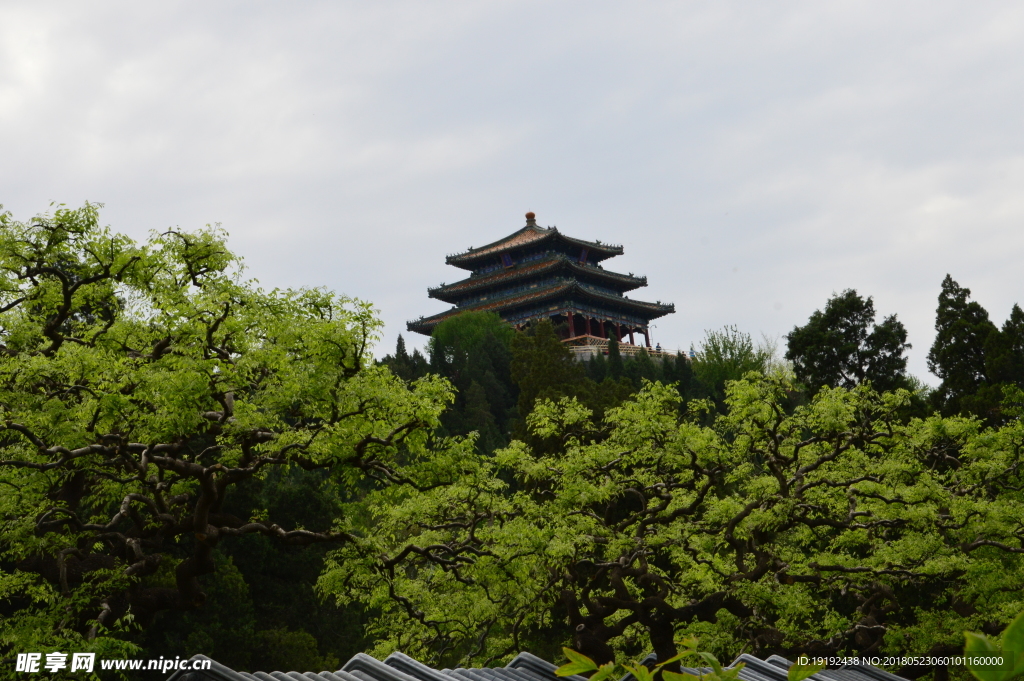 景山风景