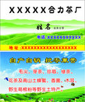 茶厂名片