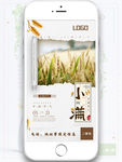 小满清新简约节气海报
