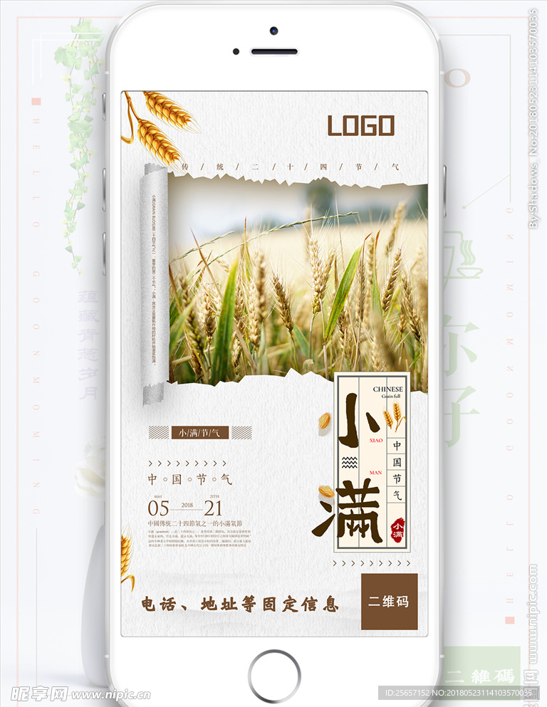小满清新简约节气海报