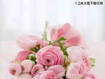 玫瑰 花束 祝贺 安排 花 自