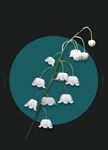鲜花主题铃兰海报PSD模板