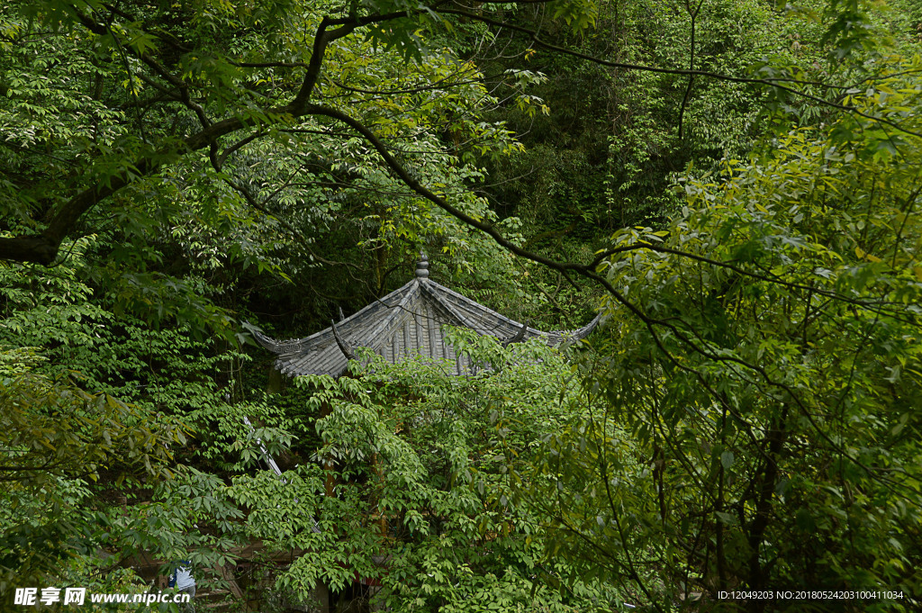 洪雅之行（瓦屋山）