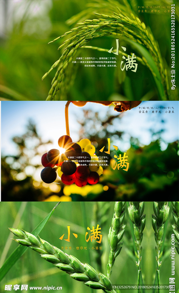 节气