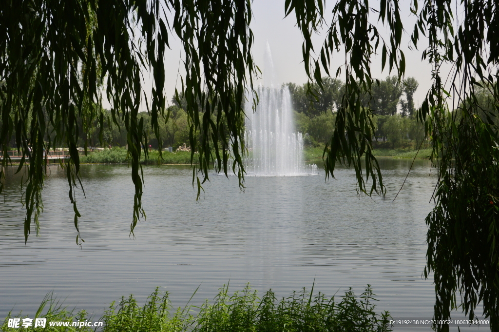 圆明园风景