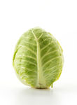 蔬菜