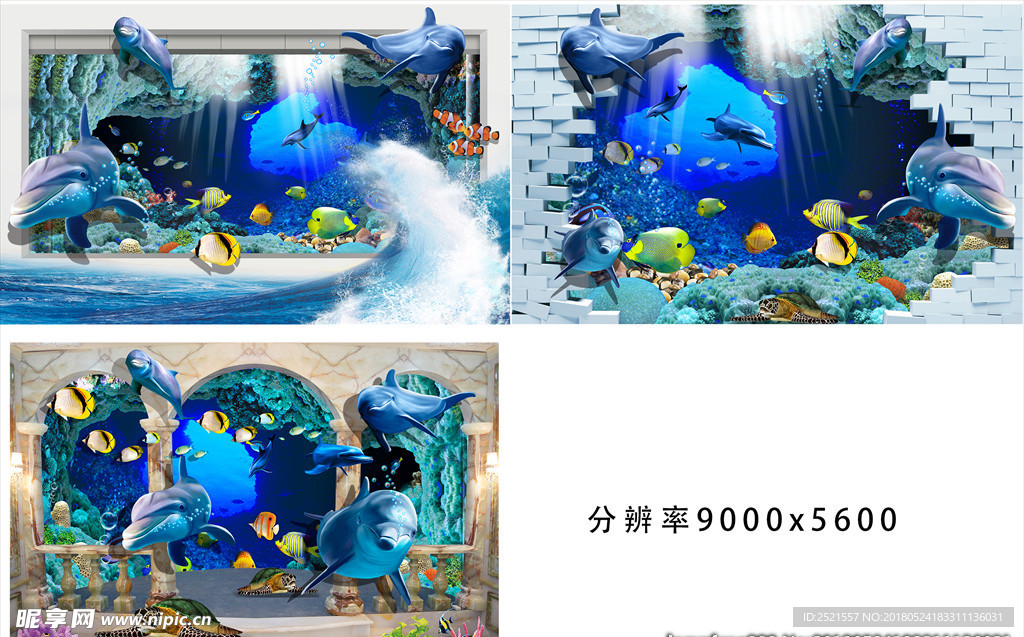 海洋馆海豚