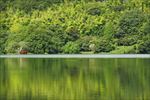 依山傍水