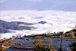 元阳梯田