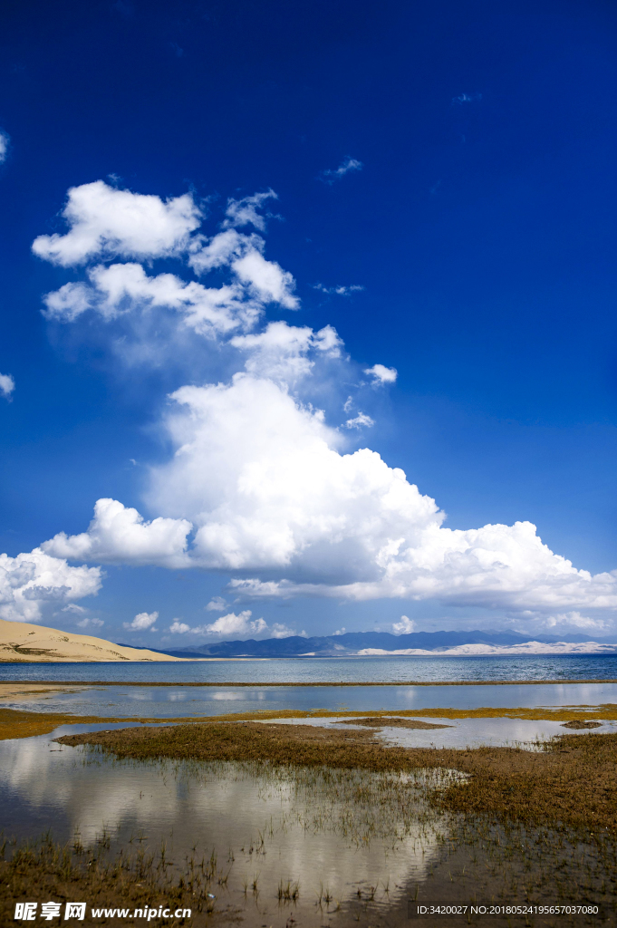 青海湖