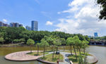 深圳中山公园