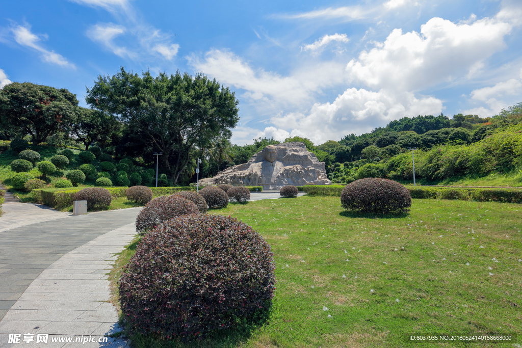 深圳中山公园花坛