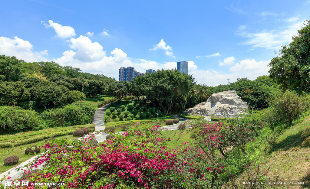 深圳中山公园花坛