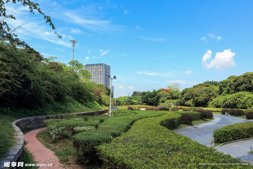 深圳中山公园花坛