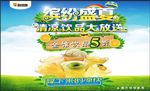 缤纷盛夏
