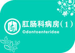 肛肠科门牌