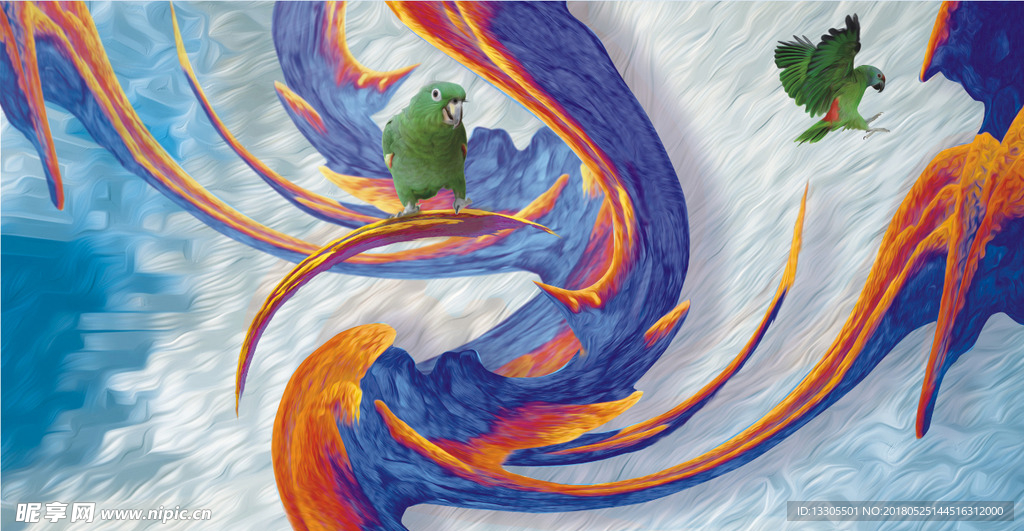 鹦鹉插画