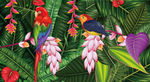 热带丛林鹦鹉插画