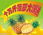 菠萝大派送