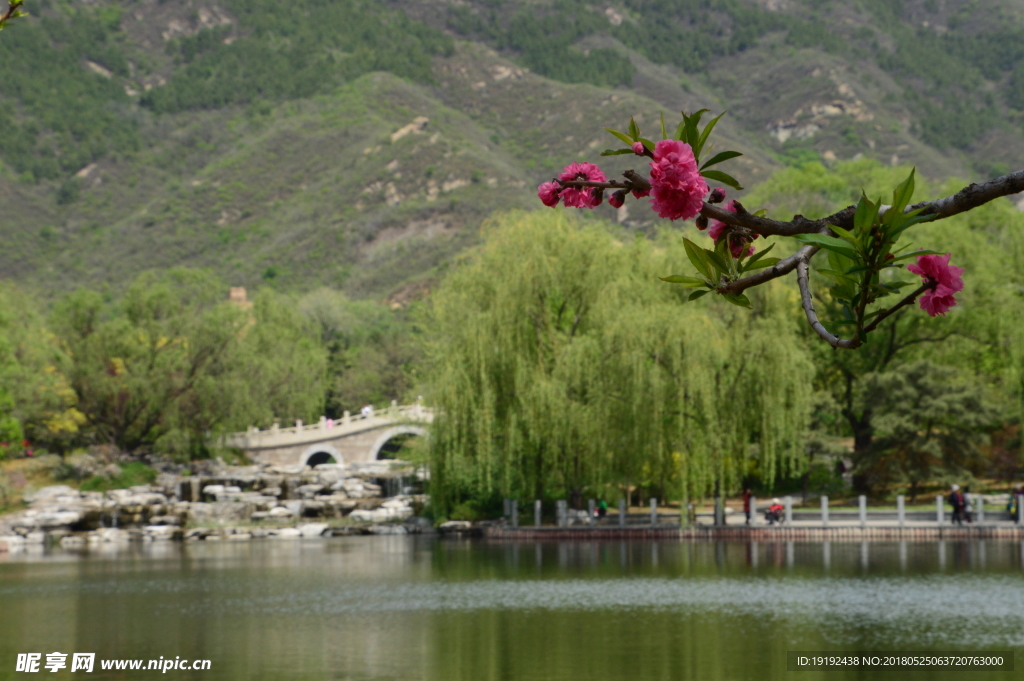 植物园风景