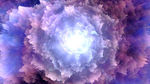 梦幻紫色森林
