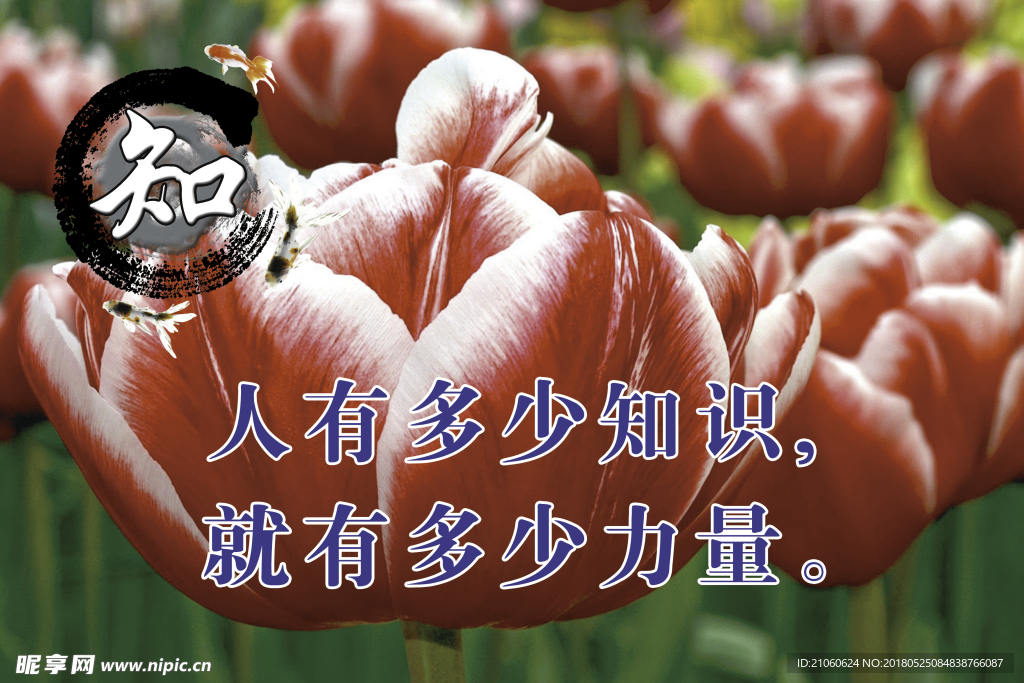 校园标语