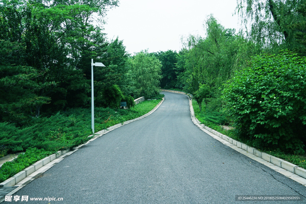 安静的道路