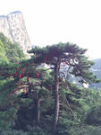 华山风景