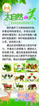 大自然的美手工制作