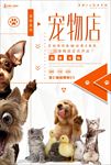 猫狗宠物店促销海报广告图片下载