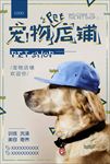 猫狗宠物店促销海报广告图片下载