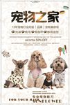 猫狗宠物店促销海报广告图片下载