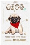 猫狗宠物店促销海报广告图片下载