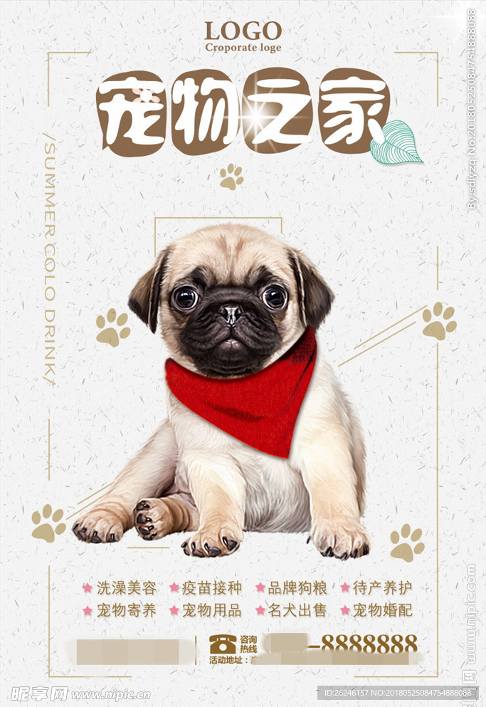 猫狗宠物店促销海报广告图片下载