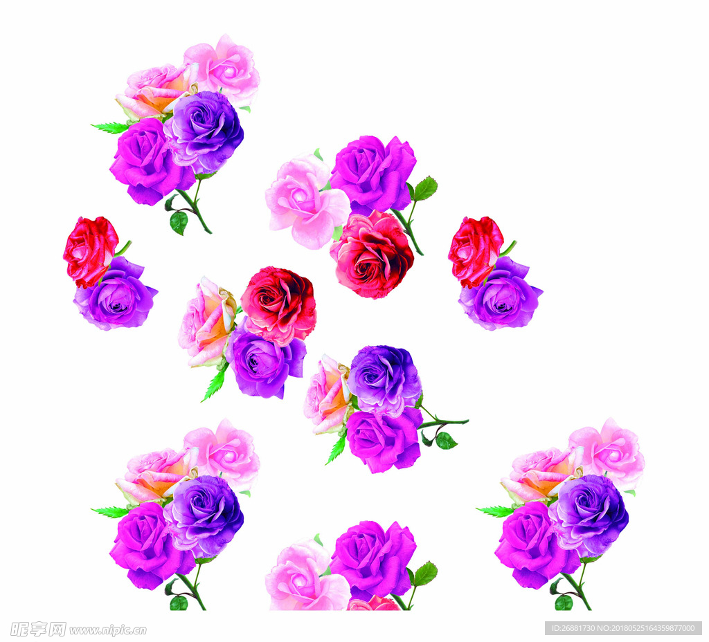 玫瑰花